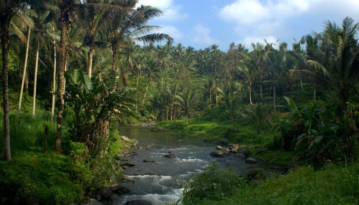 Ayung River, Bali
