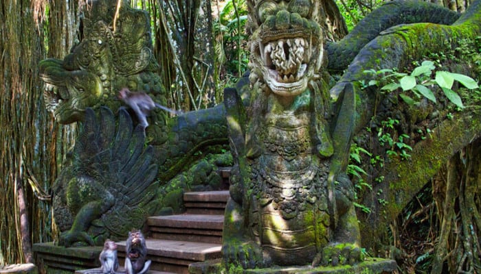 Sacred Monkey Forest - Ubud, Bali