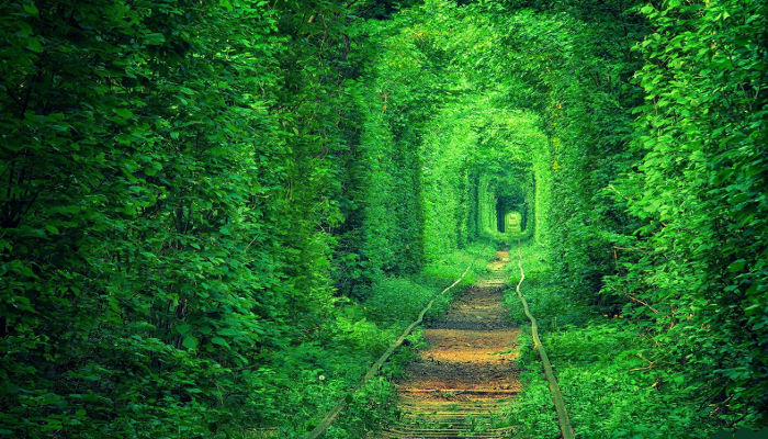 Viaggi in treno: i 10 itinerari più belli al mondo